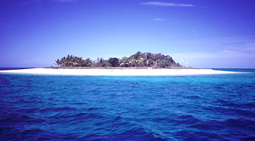 自然界と人間界のはざまにて  Another Stories